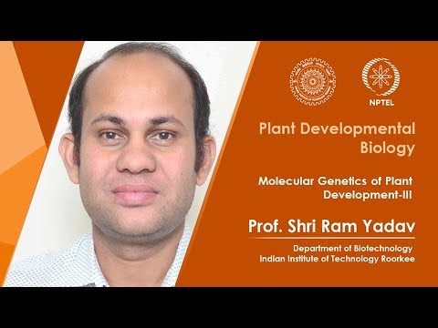 mod02lec06 camera iphone 8 plus apk