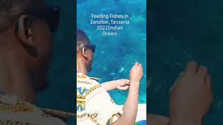 Zanzibar Safari Blue Tour