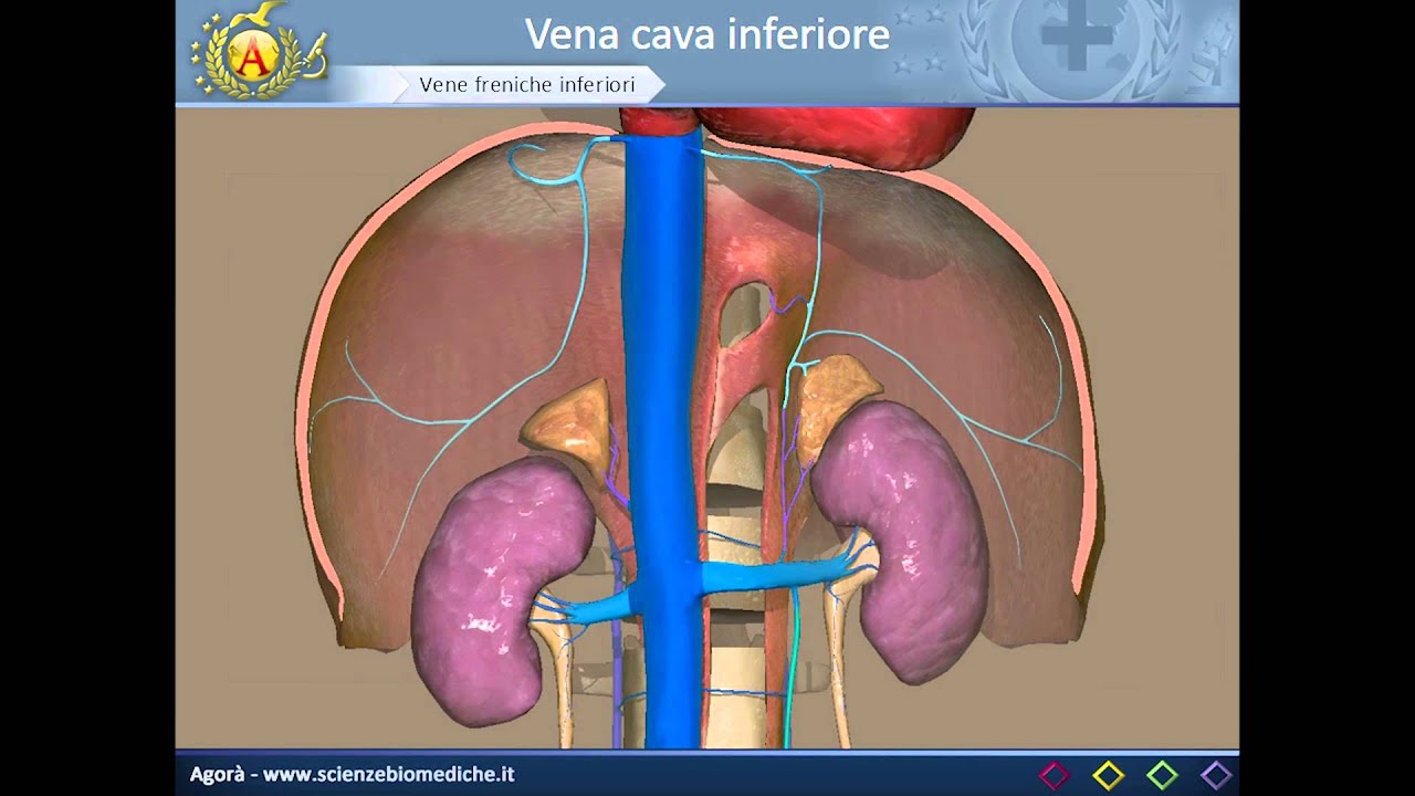 Nocera Inferiore Wikipédia