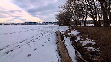 Dynamic Perception Test 1