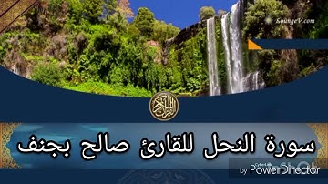 تلاوة ندية لسورة النحل للقارئ صالح بجنف .