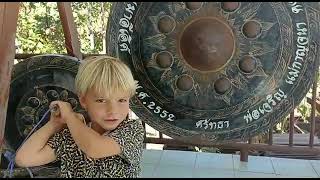 VID 20221203 WA0000