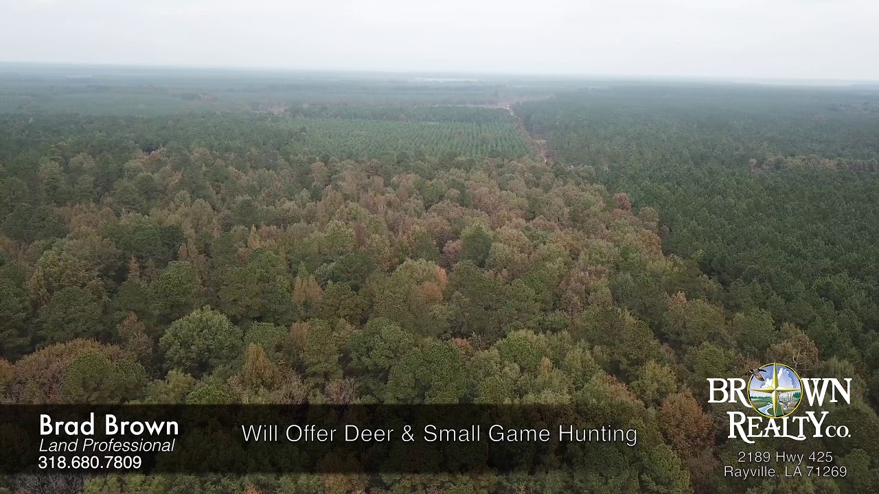40 acres For Sale in Ashley County, AR YouTube
