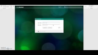 Citrix and SPSS Instructions