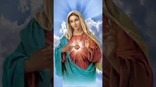 Sagrado Corazon De Maria