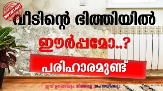 വീടിന്റെ ഭിത്തിയിൽ ഈർപ്പമോ? Moisture on the wall of the house?(Dampness) Capillary Action #homedot