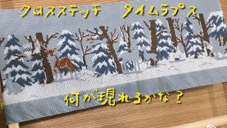 クロスステッチ制作過程〈ホビーラホビーレ 〉