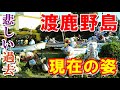 禁断の〇春島【渡鹿野島】の悲しい歴史と現在の姿【Downtown Japan】