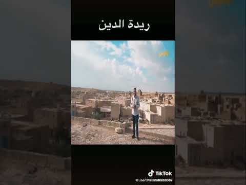 ريدة الدين