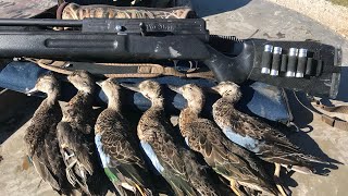 PBBA Pro-20 air shotgun goes on a Teal hunt
