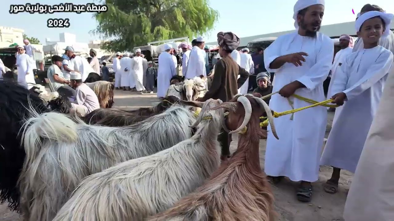 هبطة عيد الأضحى بولاية صور2024@الصواري