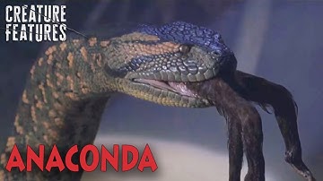 The Most Dangerous Snake Hunt Ever | Anaconda (1997) | Creature Features