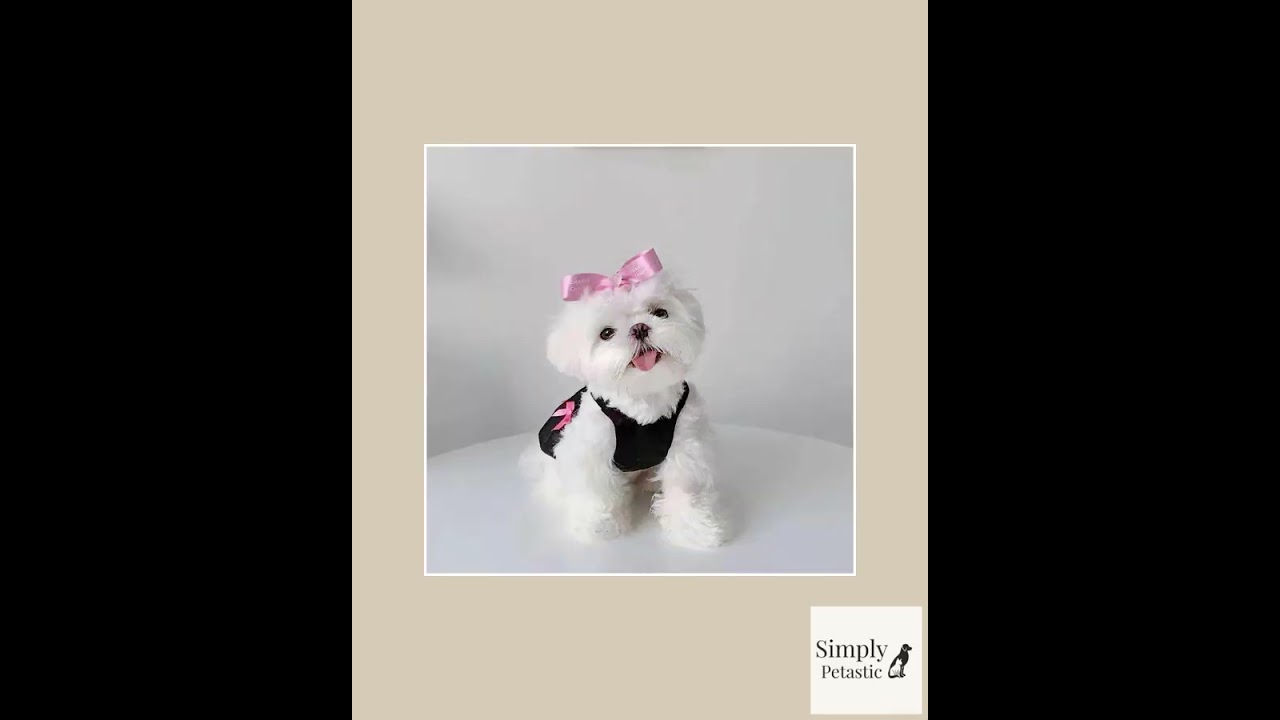 Super Cute Doggie Princess Dress Pink Bow Toy Dog Precious Tutu Playfit Costume apparel clothes