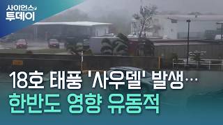 Typhoon 'Saudel' Forms: Impact on Korean Peninsula Uncertain / YTN Science