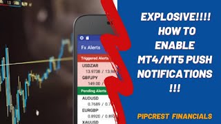 #Forex How to enable Mt4/Mt5 Push Notification to get alert from Metatrader PC to Mobile Phone 2023