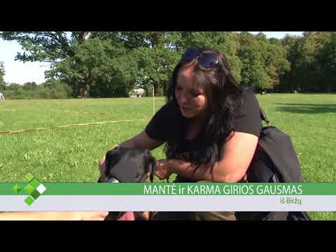 Video: Kritusiųjų Valdovai - Tironų širdelės, Tironai, Senovės Plokštelės, Burtažodžiai, Matmenų Skalikas