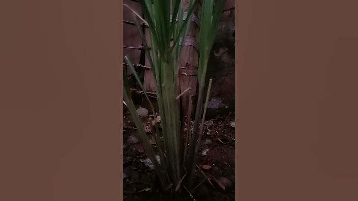 消防避险训练，消防员用“水盾”逼退烈火！这是训练，也是他们可能面对的日常。致敬！#熱門 #中国