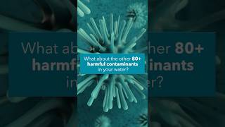 Most basic water filters focus on taste, so you’re still stuck with microplastics, pharmaceuticals,