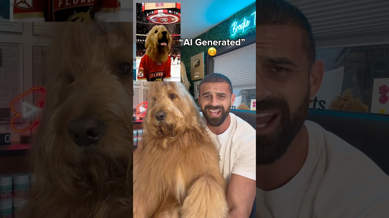 My apology video… #goldendoodle #mlb #notai