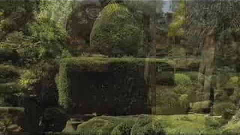 Pearl Fryar's Topiary Garden