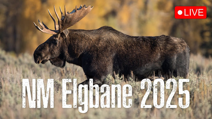 NM Elgbane 2025