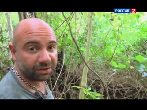 Как баженов ловит зверей Как баженов ловит зверей