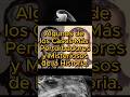 Algunos de los Casos Más Perturbadores y Misteriosos de la Historia.