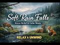 Soft Rain Falls: Pure Calm Music for Stress Relief, Focus &amp; Restful Sleep#fyp