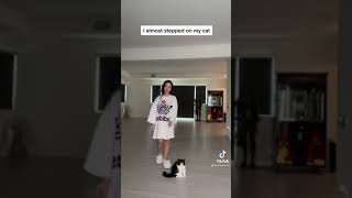 bella poarch almost steps on her cat #bellapoarch #cat #shorts