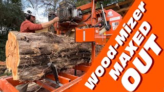 HUGE Eastern Cedar on the Woodmizer lt15