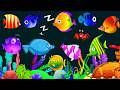 Fall Asleep in 3 minutes mozart lullaby 🐠 Mozart &amp; Brahms Lullabies 🌙🐡Undersea #Fish #Sleep#2