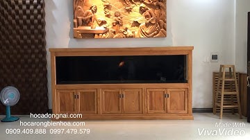 Hồ cá rồng 3m lắp đặt tại nhà anh Lâm Hố Nai - Biên Hoà