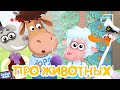 Бурёнка Даша🐮Где живут звери? | Развивающие песни для детей