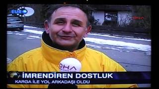 Postaci Ve Karga - Euro D Haber