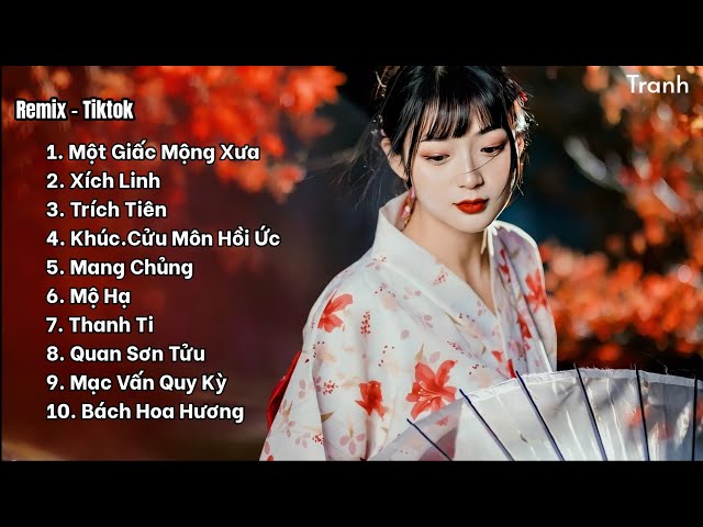 Top 10 bản Remix nhạc cổ phong Hot Tiktok nghe là nghiện [Part 1] class=