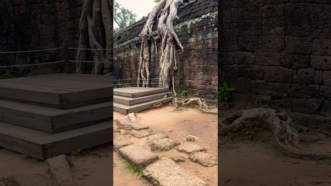 Ta Phrom Temple 