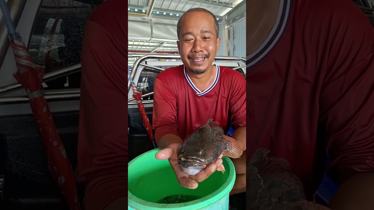 ดักลอบปลาบู่ ในวันที่ฝนตกติดต่อกัน3วัน ปลาบู่จะเข้าดีไหม!!!!?