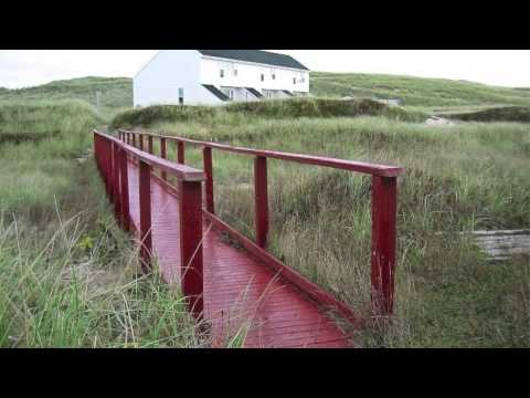 Video: Ano ang espesyal sa Sable Island?