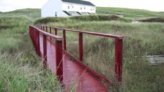 Facts About Sable Island by Elizabeth Connors