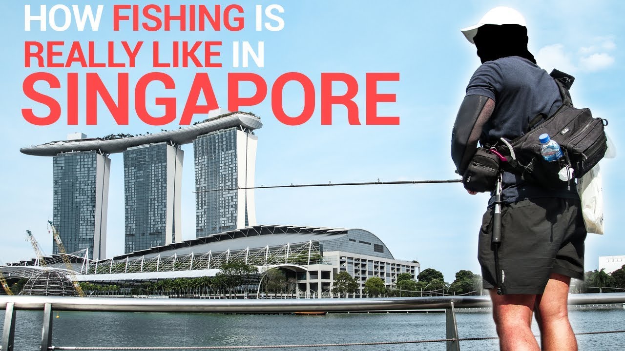 Illegal Fishing In Singapore YouTube
