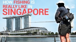 Download lagu Illegal Fishing In Singapore