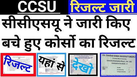 ccsu result news today Ccsu 2nd year result & 1st year result जारी how to check Ccsu BA BSc resuslt