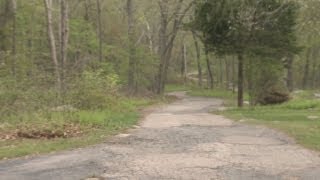 Teen throws party at vacant home; causes major damage