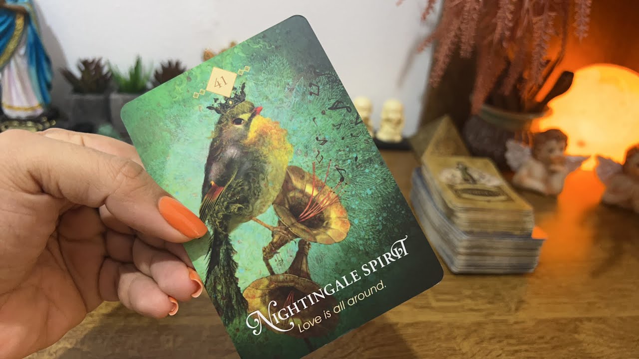 Seu MENTOR ESPIRITUAL precisa FALAR com VC🙌🏼🙏🏼✨