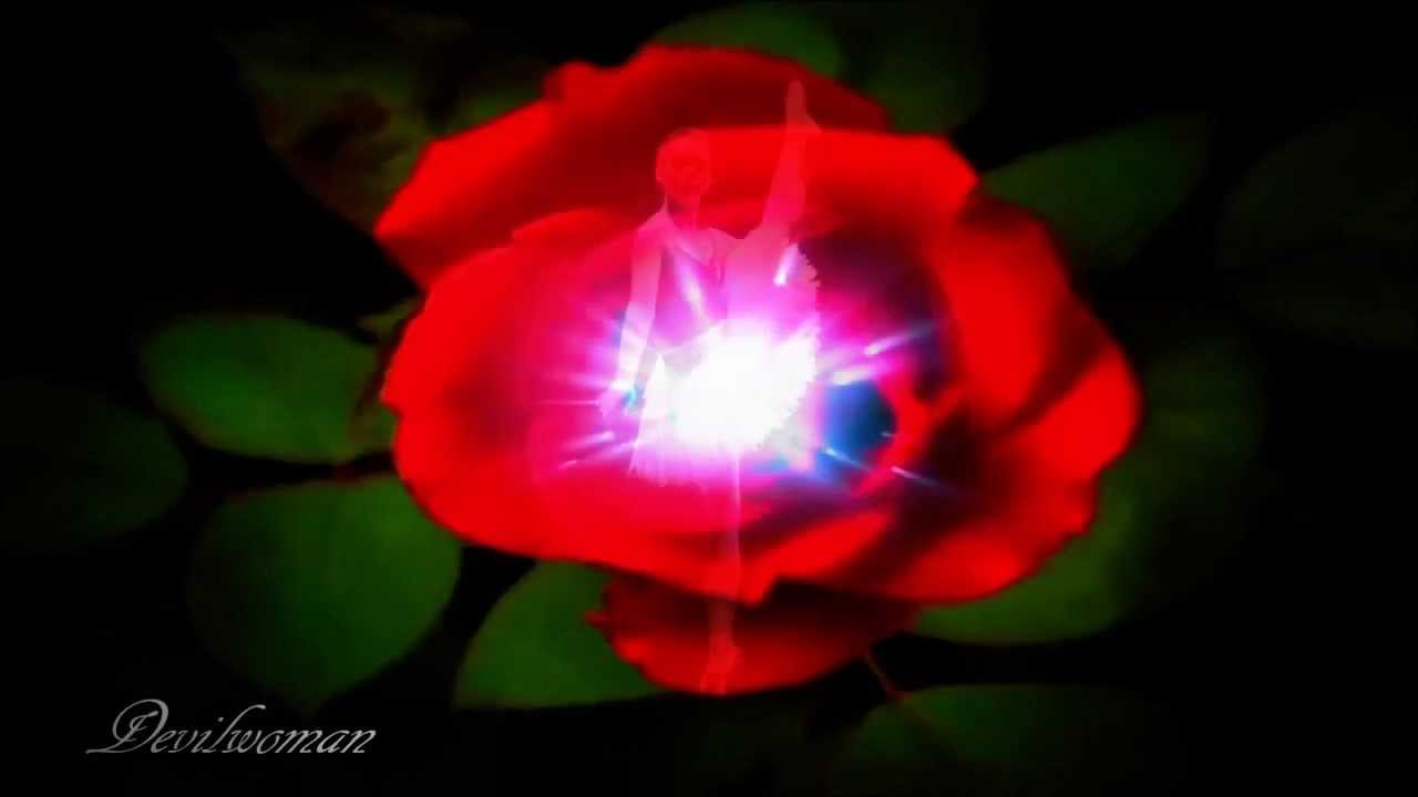 Guarda •●•● Tawk •●•● In Close •●•● su YouTube Guarda •●•● Tawk •●•● In Close •●•● su YouTube