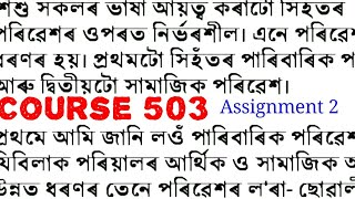 Course 503, Assignment 2 for Nios deled || How to write assignment