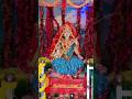 Yellow vibes, divine blessings & prayers to Goddess Saraswati🌼🪔#saraswati puja#admission #open