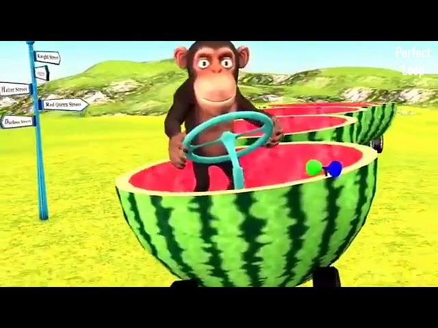 Monkey On The Watermelon Train 10 Hours