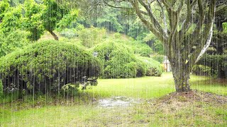 เสียงฝนอันแสนสุขช่วยผ่อนคลายจิตใจและบรรเทาความเหนื่อยล้า - ศึกษา นั่งสมาธิ และมีสมาธิ