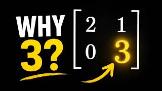 What Do the Numbers in a Matrix Actually Mean
